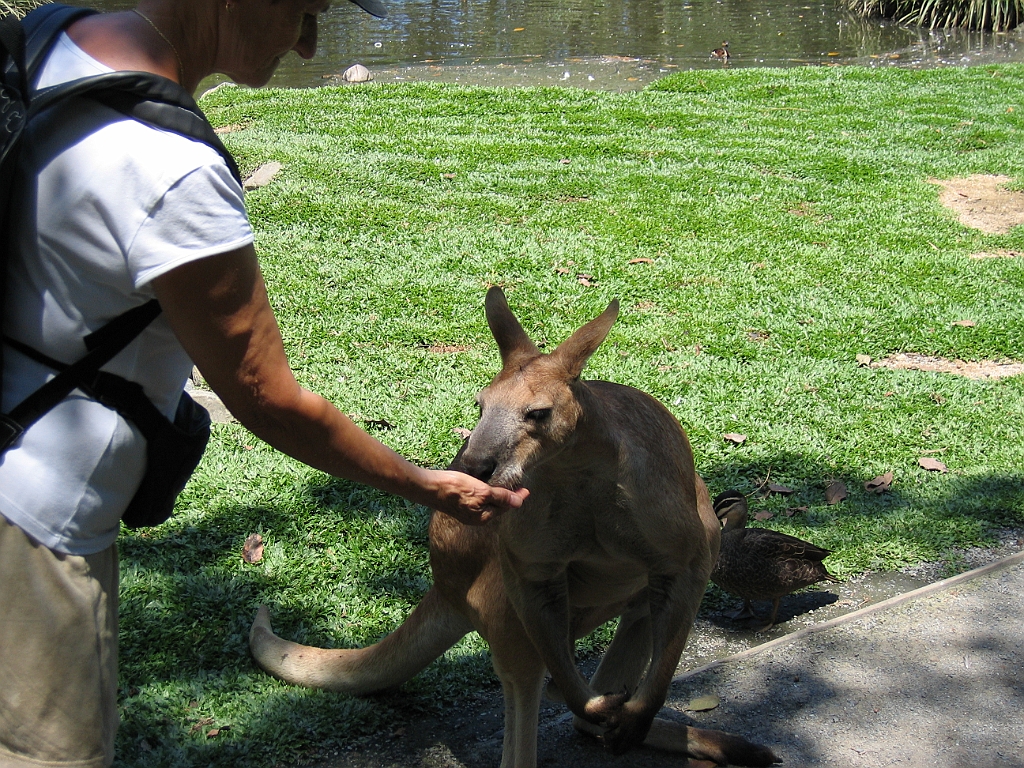 CairnsTC288 Wildlife Habitat.jpg